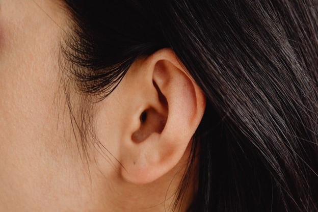 Woman’s ear after otoplasty (model)